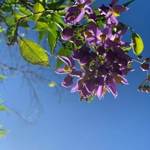 Meet your Posher, Joanne